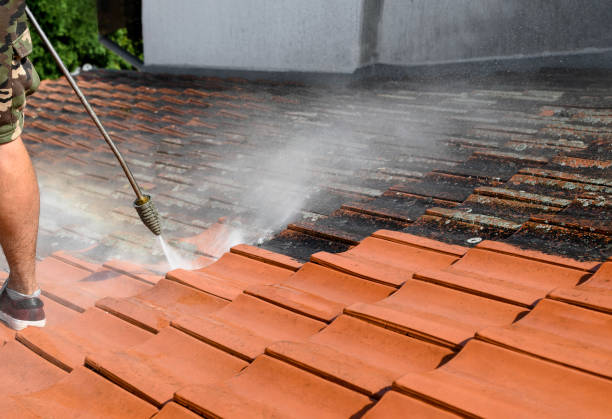 Best Affordable Pressure Washing  in North El Monte, CA