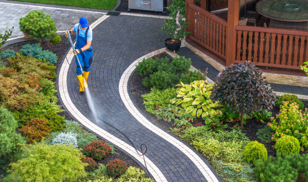 Best Pressure Washing Near Me  in North El Monte, CA